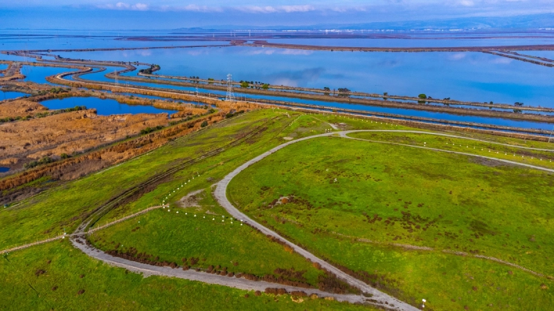 Avocat en droit de l'environnement